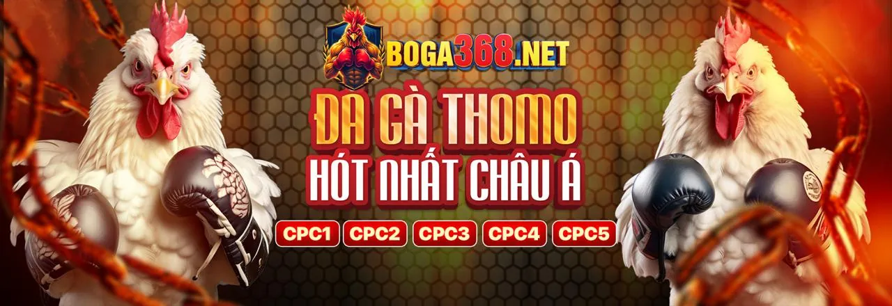 Hệ thống giao dịch nhanh chóng của lc79b